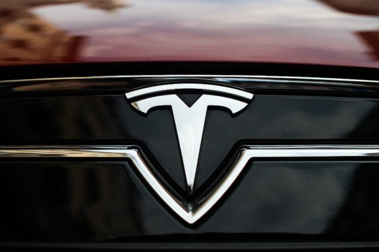 Tesla badge on a car.